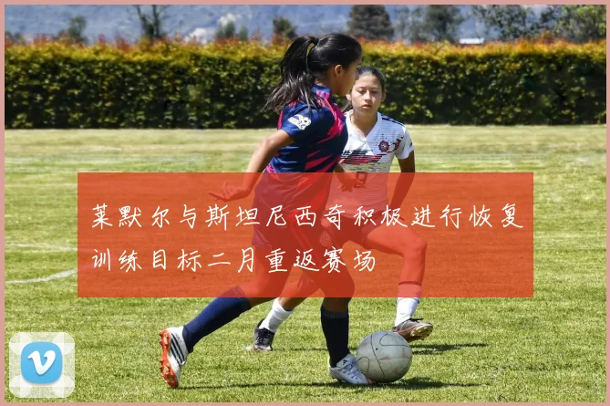 莱默尔与斯坦尼西奇积极进行恢复训练目标二月重返赛场