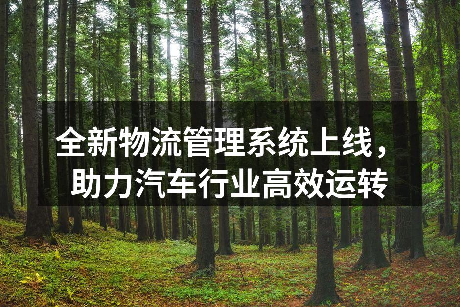 新物流管理系统界面展示