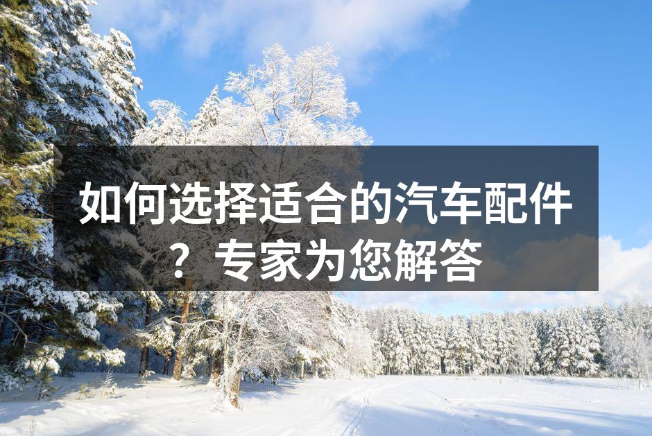 汽车配件选择手册